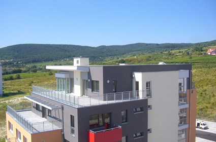 Rača Vineyards