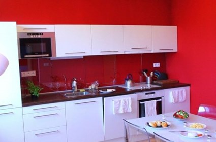 Rača Vineyards - show home