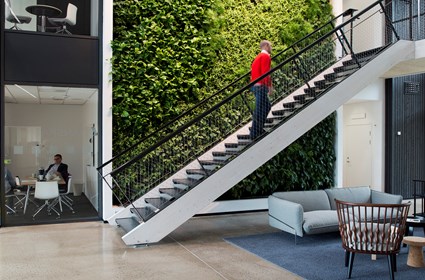 A lush plant wall covers an entrance wall. A lush plant wall covers an entrance wall.