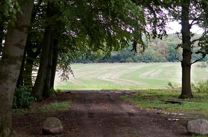 Väla Gård adjacent to a nature reserve. Väla Gård adjacent to a nature reserve.