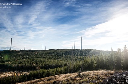 Mullberg Wind Farm
