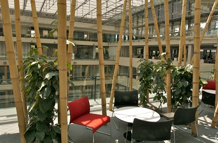 New Head Quarters of CSOB