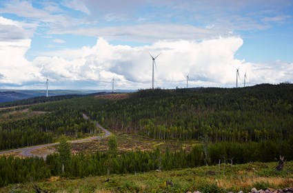 Mullberg Wind Farm