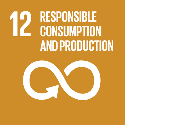 United Nations’ Sustainable Development Goal icon