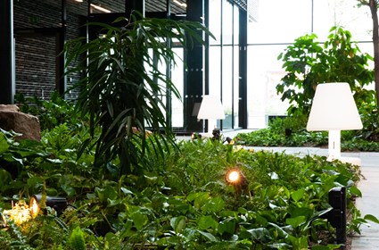 Natural sounds enhance the experience of tranquility in the atrium. Natural sounds enhance the experience of tranquility in the atrium.