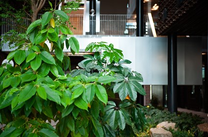 In Epic, we have focused on how the built environment affects us. In Epic, we have focused on how the built environment affects us.