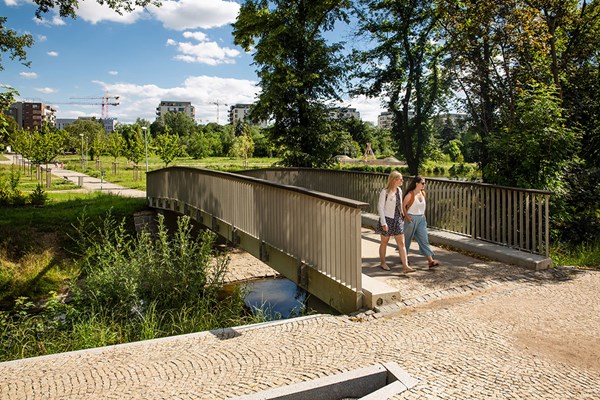 Two women walking over a bridge next to some greenery